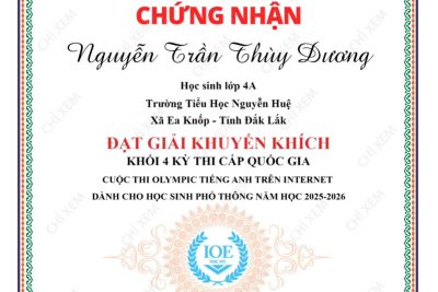 KẾT QUẢ IOE QUỐC GIA