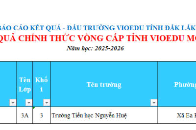 KẾT QUẢ VIOEDU CẤP TỈNH